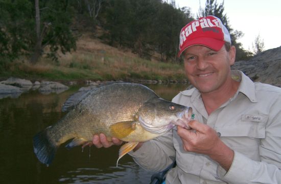 Macquarie natives caught on film